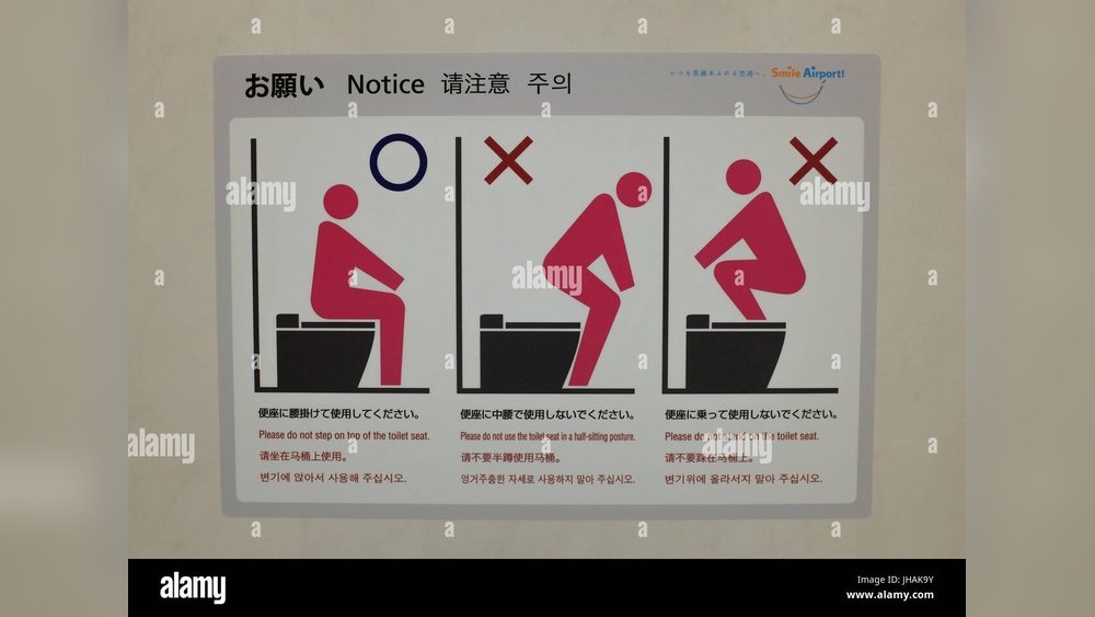 How to Use High Commode Toilet